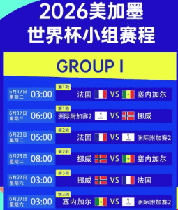 2026年世界杯预选赛亚洲区比赛精彩瞬间